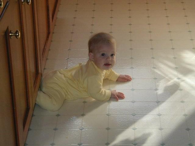 Audrey Maize