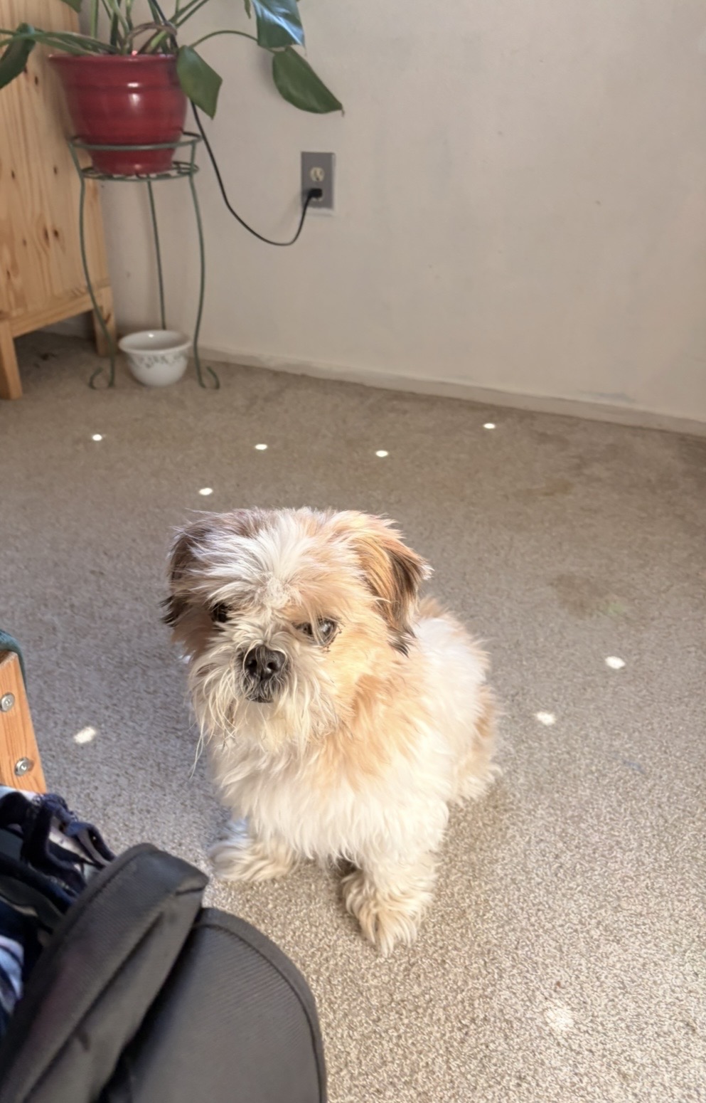 Kaitlyn Irizarry-Vega